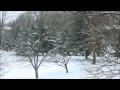 December Snowfall Video