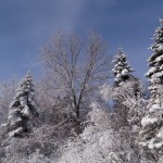 Snowpocalypse of 2014, a Photo Gallery