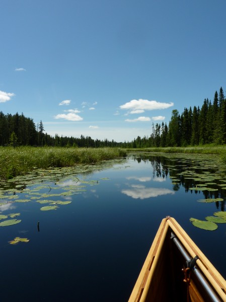Boundary Waters Canoe Area Wilderness. Photo credit: Astrid Bryce