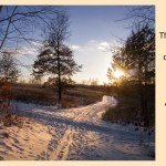 A Walk in the Winter Woods: Part III
