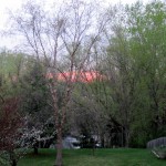 Spring Rain from an Appalachian Canopy