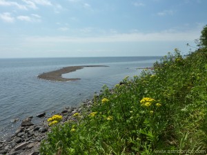 Lake Superior View