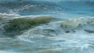 waves in the ocean