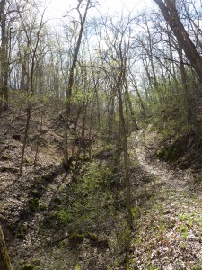 Trail up a valley