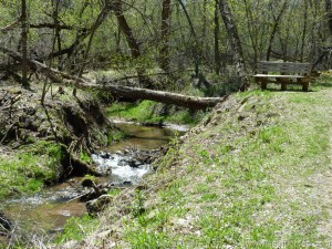 Rest by the babbling brook