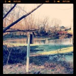 First morning I've noticed the pond frozen over