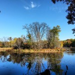 A pretty view from a pretty bench.