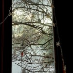 The birds gather at the feeder this blustery morning