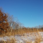 Moonrise, sunset, and a georgeous winter afternoon #nofilter