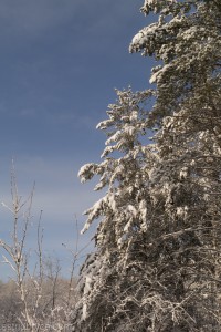 Feb2014SnowStorm-1090256