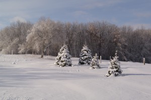 Feb2014SnowStorm-1090278