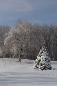 Feb2014SnowStorm-1090281