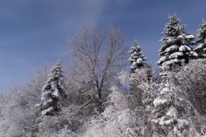 Feb2014SnowStorm-1090289