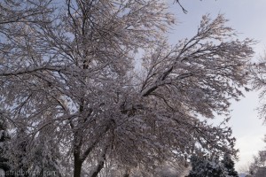 Feb2014SnowStorm-1090296