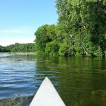 The heron observes the canoe's summer christening