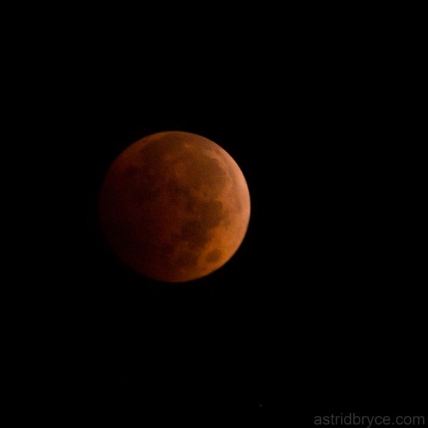 Lunar Eclipse