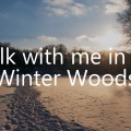 Walk with me in the Winter Woods