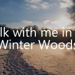 A Walk in the Winter Woods: A Video