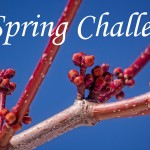 A Spring Challenge