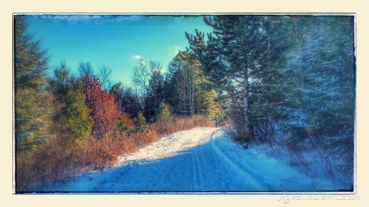 1st cross country ski of the season on New Year's day