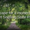 Video thumbnail of a wooded trail on a perfect summer day