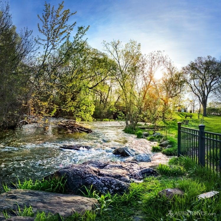 Minnehaha creek above the falls